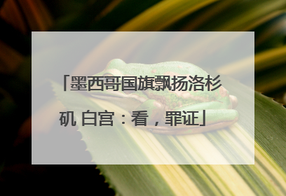 墨西哥国旗飘扬洛杉矶 白宫：看，罪证