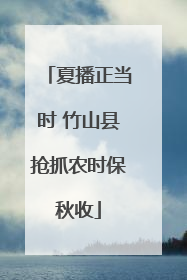 夏播正当时 竹山县抢抓农时保秋收