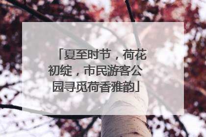 夏至时节，荷花初绽，市民游客公园寻觅荷香雅韵
