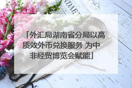 外汇局湖南省分局以高质效外币兑换服务 为中非经贸博览会赋能