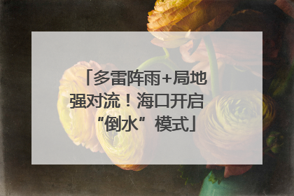 多雷阵雨+局地强对流！海口开启“倒水”模式