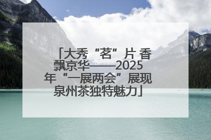 大秀“茗”片 香飘京华——2025年“一展两会”展现泉州茶独特魅力