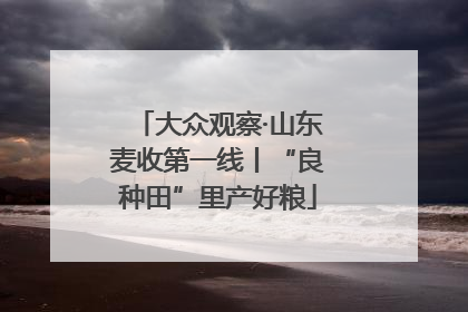 大众观察·山东麦收第一线丨“良种田”里产好粮