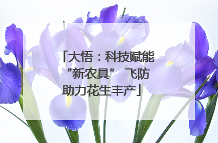 大悟：科技赋能“新农具” 飞防助力花生丰产