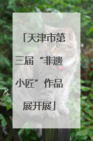 天津市第三届“非遗小匠”作品展开展