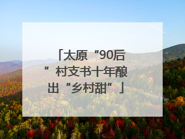 太原“90后”村支书十年酿出“乡村甜”