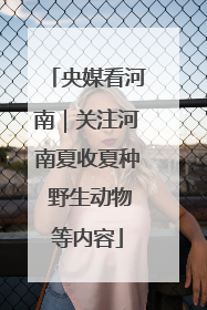 央媒看河南｜关注河南夏收夏种 野生动物等内容