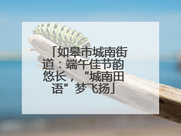如皋市城南街道：端午佳节韵悠长，“城南田语”梦飞扬