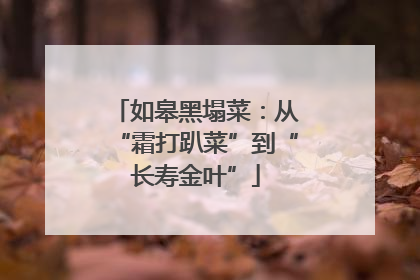 如皋黑塌菜：从“霜打趴菜”到“长寿金叶”