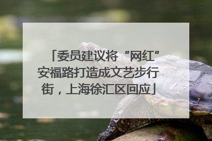 委员建议将“网红”安福路打造成文艺步行街，上海徐汇区回应