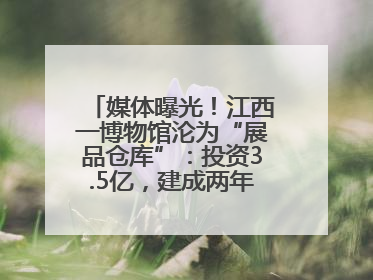 媒体曝光！江西一博物馆沦为“展品仓库”：投资3.5亿，建成两年不开放