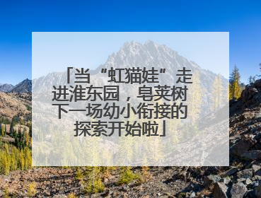 当“虹猫娃”走进淮东园，皂荚树下一场幼小衔接的探索开始啦