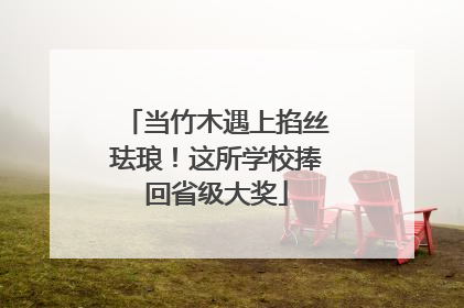 当竹木遇上掐丝珐琅！这所学校捧回省级大奖