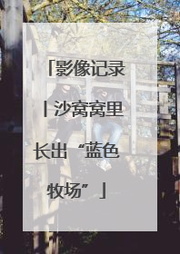 影像记录丨沙窝窝里长出“蓝色牧场”