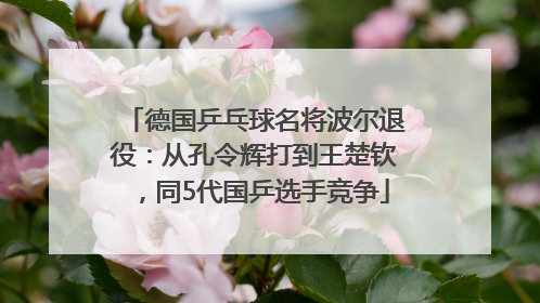 德国乒乓球名将波尔退役：从孔令辉打到王楚钦，同5代国乒选手竞争