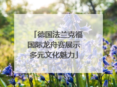 德国法兰克福国际龙舟赛展示多元文化魅力