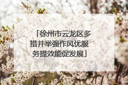 徐州市云龙区多措并举强作风优服务提效能促发展