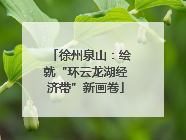 徐州泉山：绘就“环云龙湖经济带”新画卷