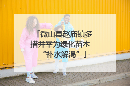 微山县赵庙镇多措并举为绿化苗木“补水解渴”