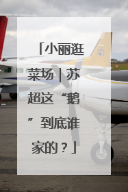 小丽逛菜场｜苏超这“鹅”到底谁家的？