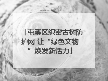屯溪区织密古树防护网 让“绿色文物”焕发新活力
