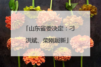 山东省委决定：刁洪斌、荣刚履新