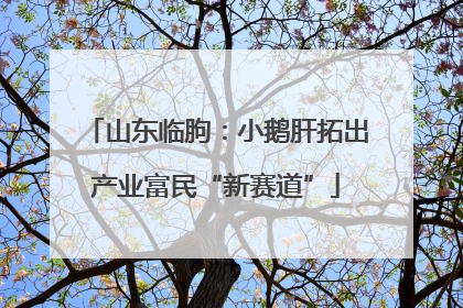 山东临朐：小鹅肝拓出产业富民“新赛道”