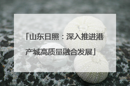 山东日照：深入推进港产城高质量融合发展