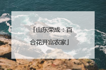 山东荣成：百合花开富农家