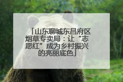 山东聊城东昌府区烟草专卖局：让“志愿红”成为乡村振兴的亮丽底色