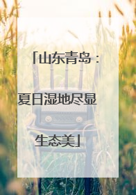 山东青岛：夏日湿地尽显生态美