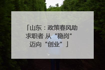 山东：政策春风助求职者 从“稳岗”迈向“创业”