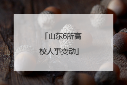 山东6所高校人事变动