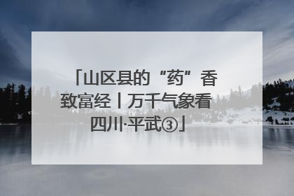 山区县的“药”香致富经丨万千气象看四川·平武③