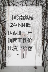 岭南荔枝24小时抵达湖北，产销两旺性价比真“给荔”