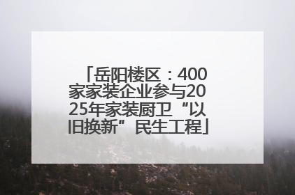 岳阳楼区：400家家装企业参与2025年家装厨卫“以旧换新”民生工程