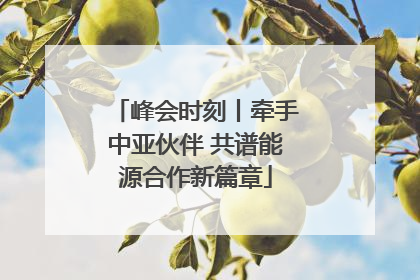峰会时刻丨牵手中亚伙伴 共谱能源合作新篇章