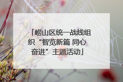 崂山区统一战线组织“智览新篇 同心奋进”主题活动