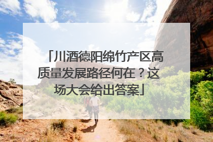 川酒德阳绵竹产区高质量发展路径何在？这场大会给出答案
