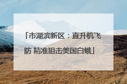 市湖滨新区：直升机飞防 精准狙击美国白蛾