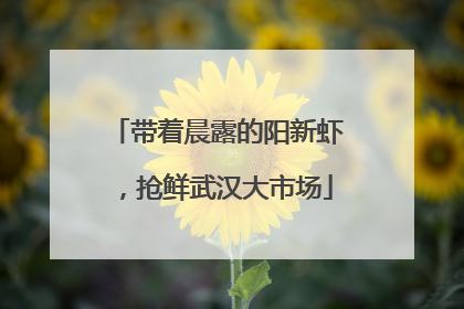 带着晨露的阳新虾，抢鲜武汉大市场