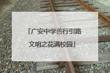 广安中学善行引路 文明之花满校园