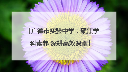 广德市实验中学：聚焦学科素养 深耕高效课堂