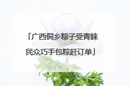 广西侗乡粽子受青睐 民众巧手包粽赶订单