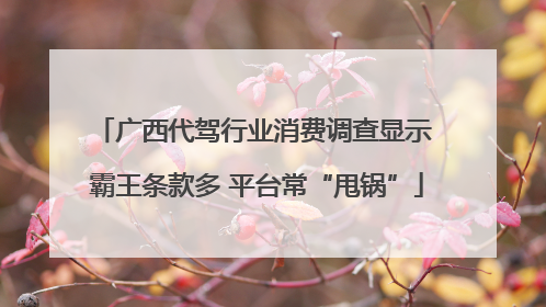 广西代驾行业消费调查显示 霸王条款多 平台常“甩锅”