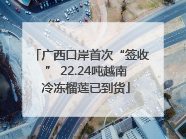 广西口岸首次“签收” 22.24吨越南冷冻榴莲已到货