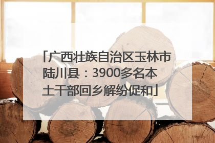 广西壮族自治区玉林市陆川县：3900多名本土干部回乡解纷促和