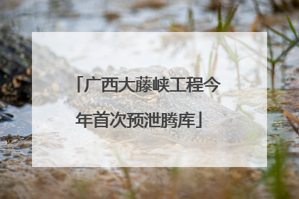 广西大藤峡工程今年首次预泄腾库