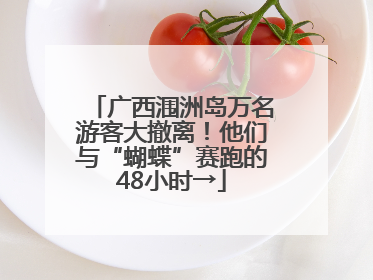 广西涠洲岛万名游客大撤离！他们与“蝴蝶”赛跑的48小时→