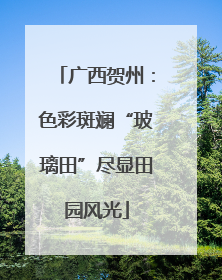 广西贺州：色彩斑斓“玻璃田”尽显田园风光